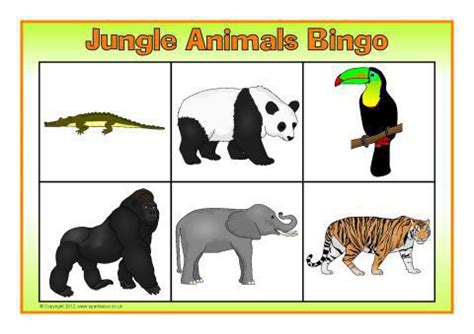 jungle animals bingo sb sparklebox