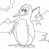 Penguin Coloring Pages Chilly Little Colouring Animal Billy Kids Cartoon sketch template