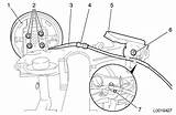 Corsa Rear Brake Drum Vauxhall Manuals Workshop Remove Handbrake Cable Axle Wheel sketch template