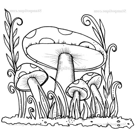 mushroom drawing images     drawings