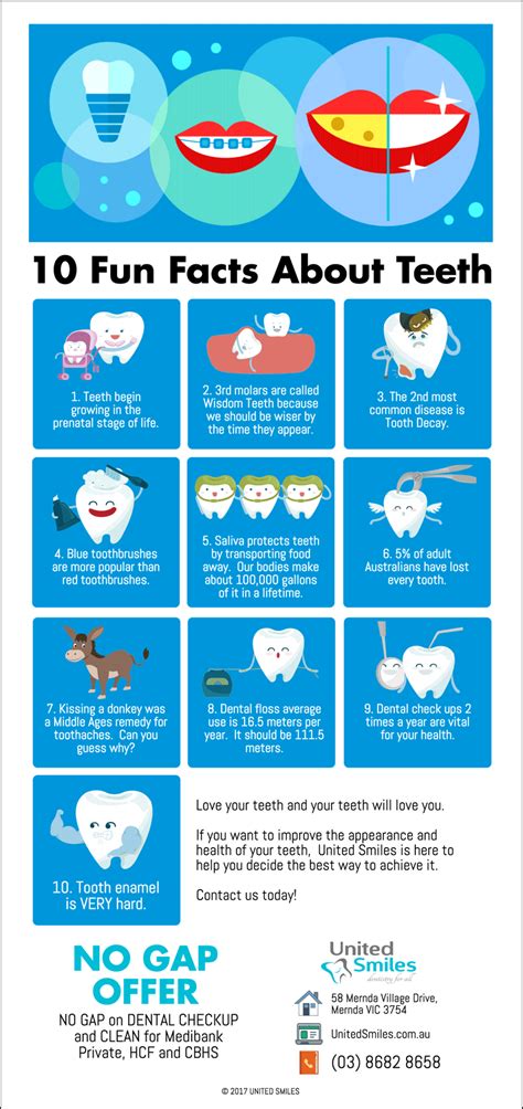 10 Fun Facts About Teeth Archives United Smiles Dentist Mernda