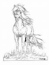 Lena Horse Coloring Horses Pages Drawing Iceland Piczo sketch template