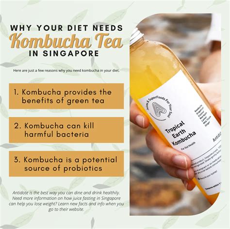 why your diet needs kombucha tea in singapore food fanee