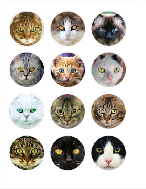 cat eyes printable craft circles cats eye animal eye images etsy