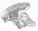 Alien Xenomorph Drawing Head Drawings Pages Line Coloring Aliens Sketch Cool Predator Getdrawings Xenomorphs Vs Queen Drawn Zen Giger Xeno sketch template