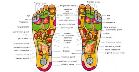 10 Health Benefits Of Foot Reflexology Massage