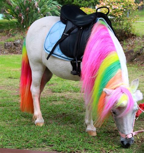 kara s party ideas rainbow unicorn themed birthday party