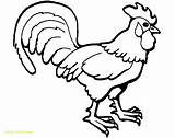 Rooster Fighting Drawing Coloring Pages Getdrawings sketch template