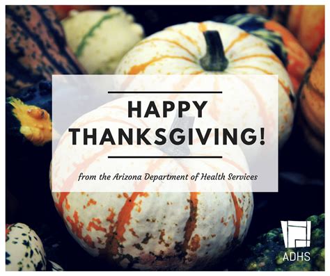 happy  healthy thanksgiving az dept  health services