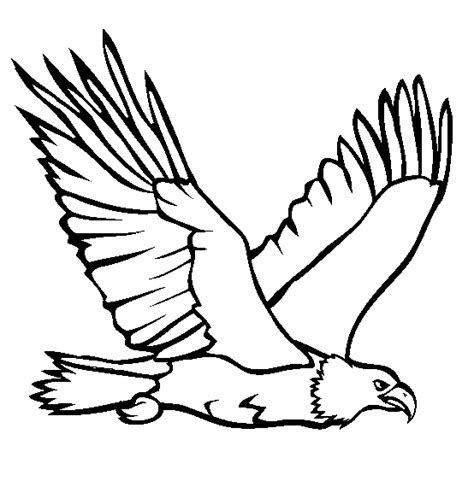 bald eagle coloring printable pinteres