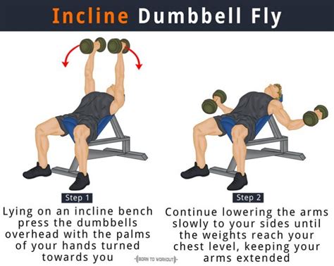 flat dumbbell fly       muscles worked forms