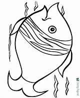 Coloring Pages Animal Fish Animals Colouring Kids Printable Print Tiara Preschool Raisingourkids Clipart Sheets Library Dot Below Click Birthday Happy sketch template