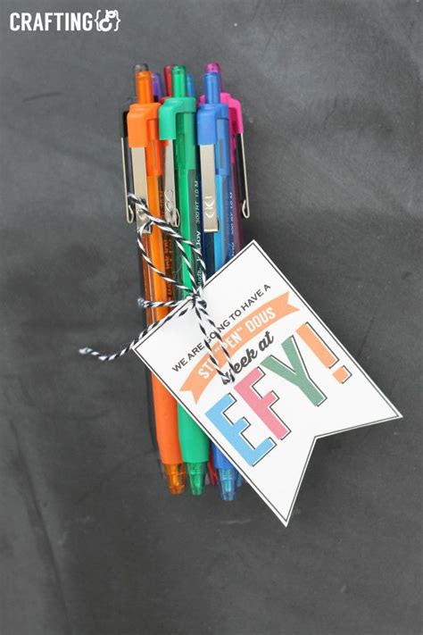 pengift  gift teacher aide gifts gifts
