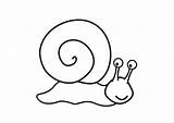 Snail Coloring Large sketch template