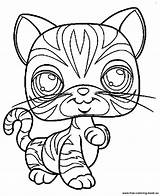 Coloring Lps Pet Pages Shop Littlest Printable Cat Print Collie Little Coloriage Chat Kids Do Popular Clipart Sheets Book Lizard sketch template