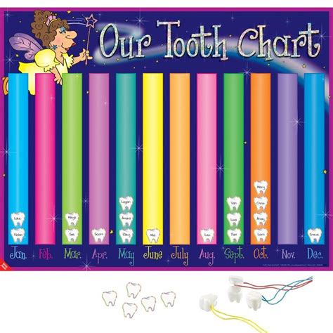 tooth chart kit tooth chart teaching  grade classroom