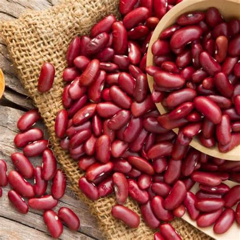 grow red kidney beans morflora