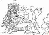 Tegninger Skildpadde Tortuga Farvelægning sketch template