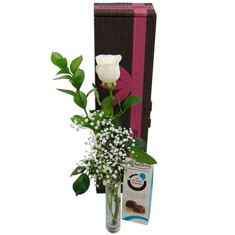 single white rose gift set fresh white rose vase  chocolates