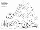 Dimetrodon Coloring Dinosaur sketch template