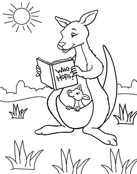 fun  cute kangaroo coloring pages    coloring pages
