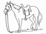 Pony Shetland Coloring Pages Getcolorings Printable Cute Color Print sketch template