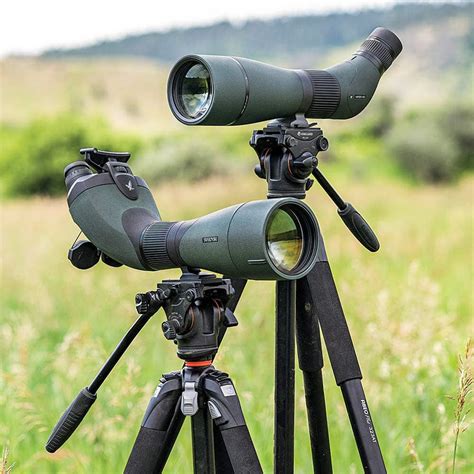 spotting scopes    top budget options