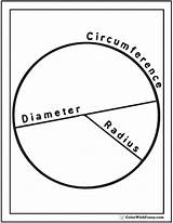 Circumference sketch template