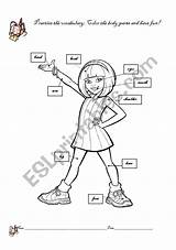 Body Parts Girl Coloring Worksheet Worksheets Esl Preview Vocabulary Face sketch template