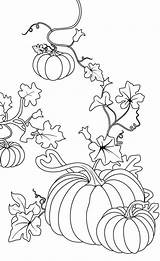 Herbst Ausmalvorlagen Herbstmotive Herbstdeko sketch template
