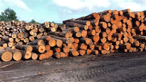 hardwood lumber tree products hardwoods