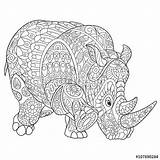 Rhino Zentangle Rhinoceros Colouring Creativos Zentangles Animals Visiter Stylized Fotolia sketch template
