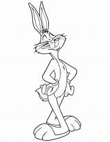 Pernalonga Looney Tunes Tudodesenhos Ad3 sketch template