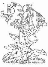Coloring Pages Elfjes Fairy Alfabet Alphabet Colouring Adult Malvorlagen Printable Ausmalbilder Elfen Fairies Kids Emblem Bluebell Flower Ffa Für Bilder sketch template