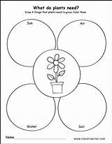 Worksheets Worksheet Needs Cleverlearner Cycle Preschools sketch template
