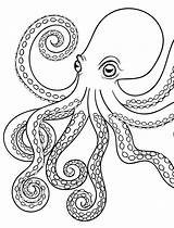 Octopus Coloring Drawing Pages Kids Printable Giant Squid Adult Color Realistic Baby Simple Drawings Swim Doctor Outline Draw Cartoon Getdrawings sketch template