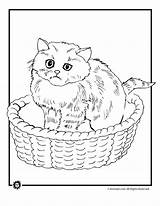 Coloring Basket Pages Cats Cat Kitten Kittens Animal Kids Activities Print Comments sketch template