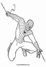Spiderman Colorare Ragno Coloriage Uomo Spider Mitico Tanti Favole Favolefantasia sketch template
