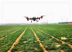 drones   spray pesticides chinadailycomcn