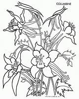 Tracing Flower Pattern Bouquet Coloring Clipart Popular Library Coloringhome sketch template