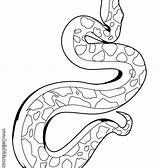 Snake Coloring Pages Realistic Sheets Getdrawings Color Getcolorings Painter sketch template