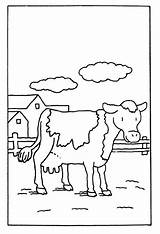 Cows Koe sketch template