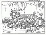 Coloring Pages Animal Complicated Popular sketch template