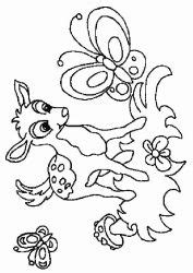 planse de colorat cu animale caprioare desene de colorat cu animale caprioare animale