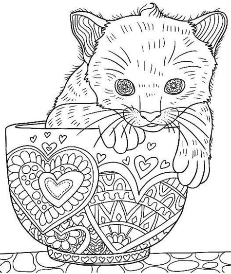 cat colouring pages  kids  cute cat coloring pages