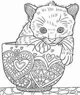 Coloring Pages Adult Cats Cat Colouring Kitten Cute Cup Dog Adults Printable Blank Grown Sheets Book Animal Kids Ups Zentangle sketch template