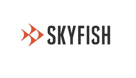 dji faces increased competition  skyfish    drone producers drone
