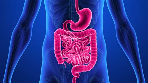 the dangers of untreated crohn s disease everyday health