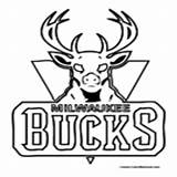 Bucks sketch template