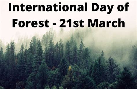 international day  forest quotes  wishes st march
